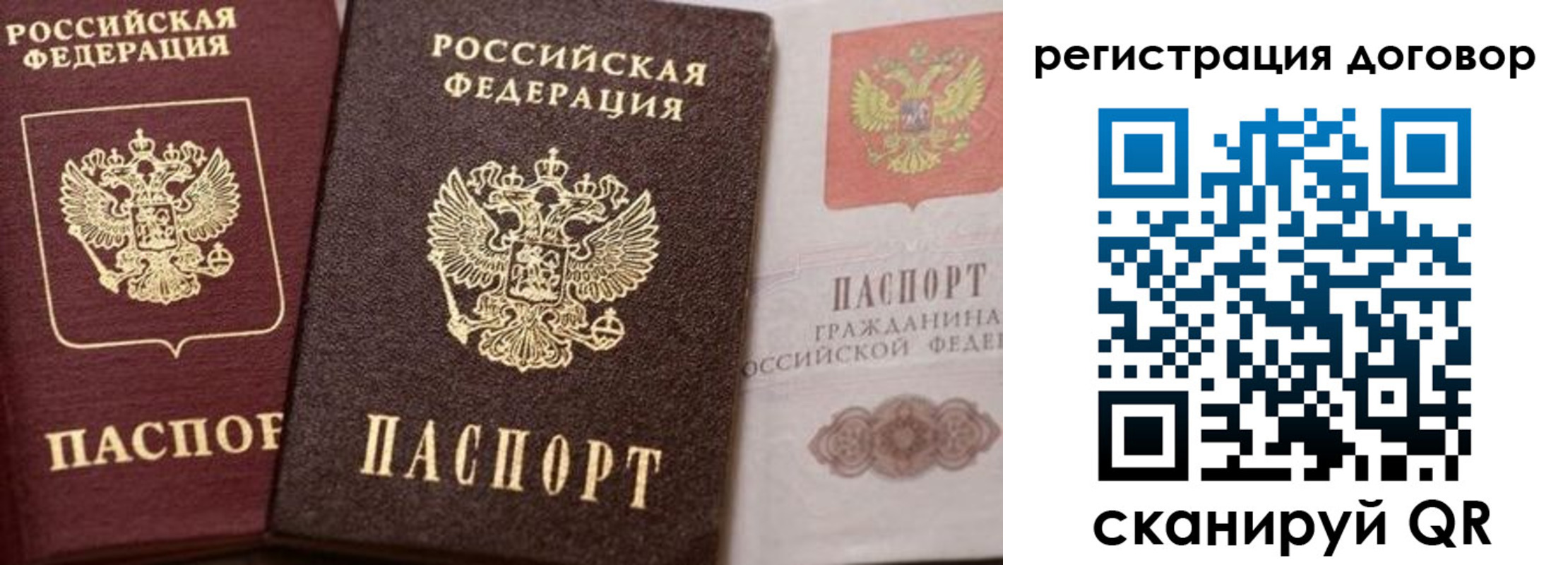 прописка 2025 в Зеленоградске