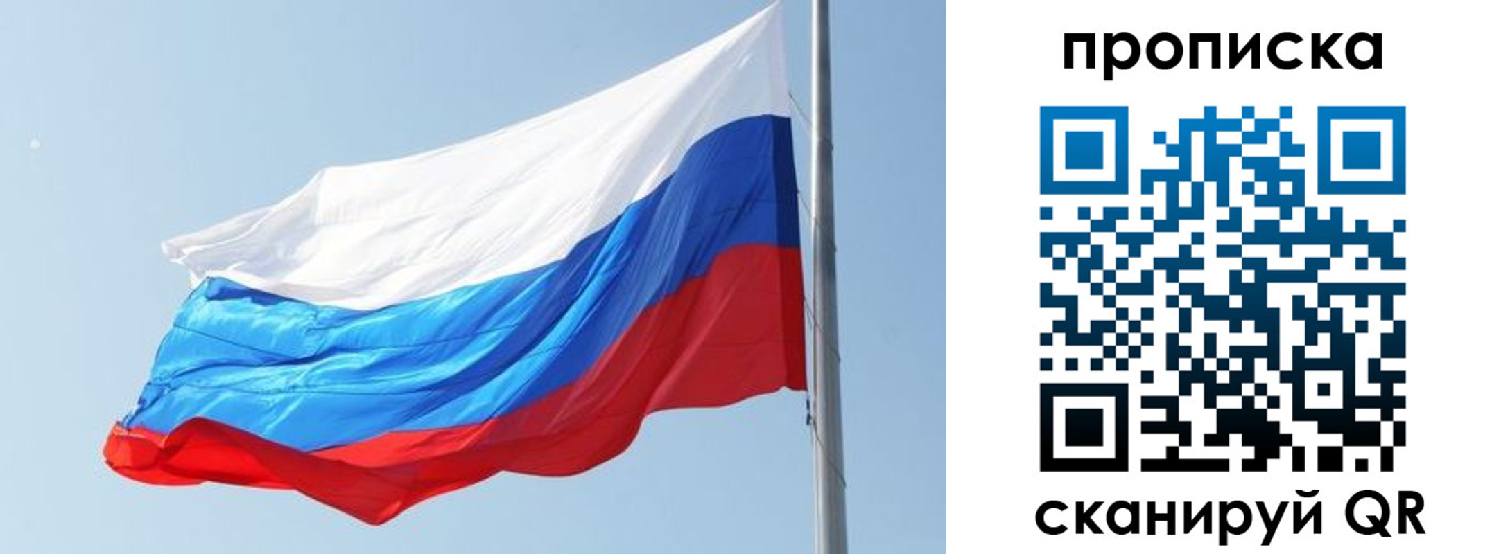прописка для школы в Зеленоградске